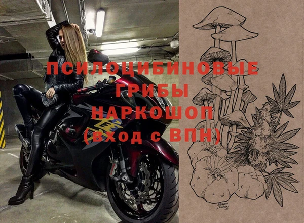 ПСИЛОЦИБИНОВЫЕ ГРИБЫ Навашино