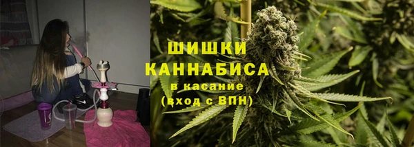 тгк Губаха