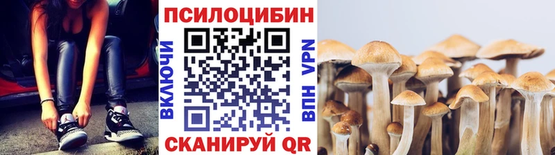 Галлюциногенные грибы Magic Shrooms  Татарск 